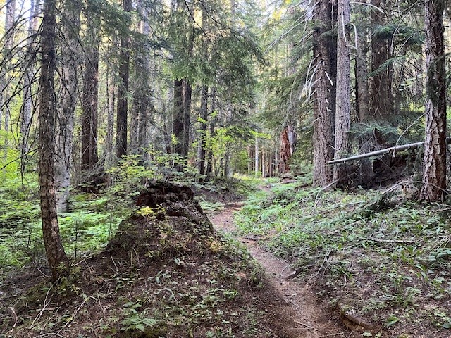 Maxwell Butte